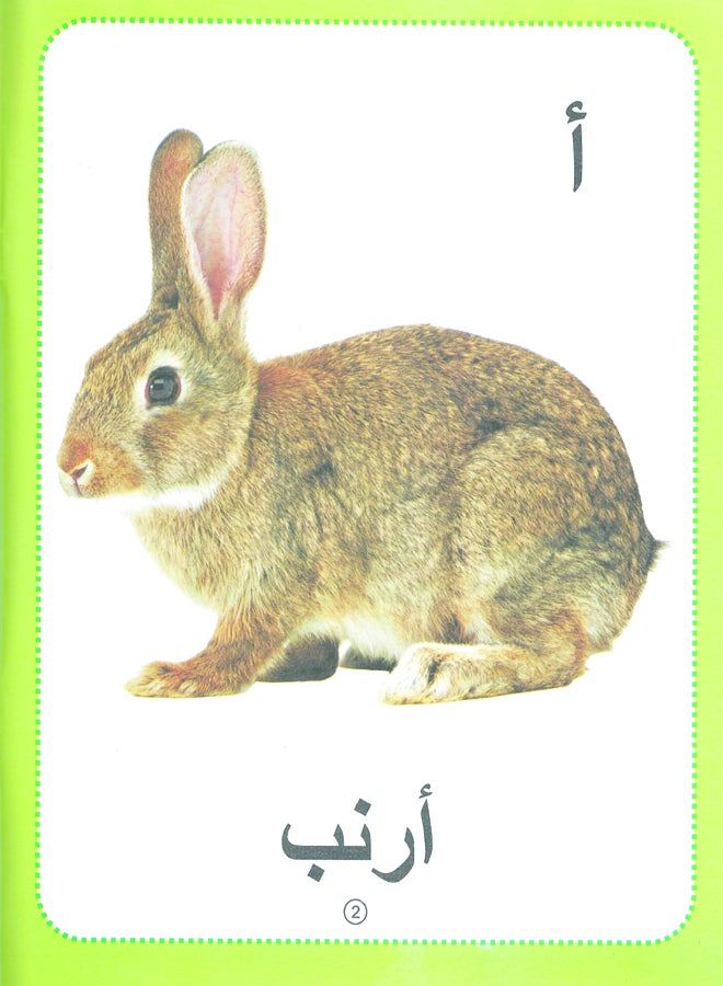 Arabic Picture Dictionary - Image 3