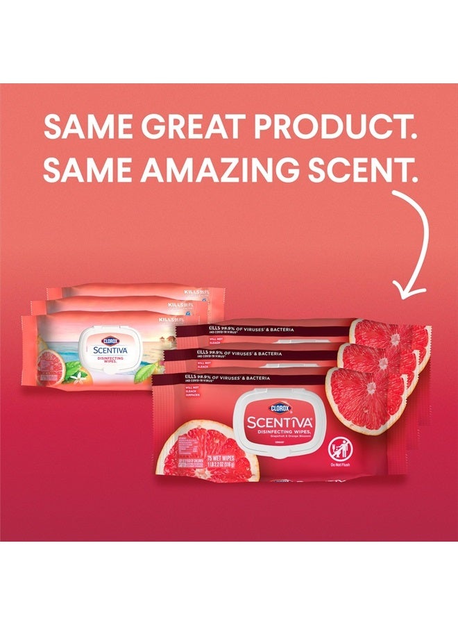 Clorox مناديل سينتيفا، مناديل تنظيف خالية من المبيض، مستلزمات منزلية، رائحة جريب فروت تاهيتي، 75 قطعة (عبوة من 3) - Image 2