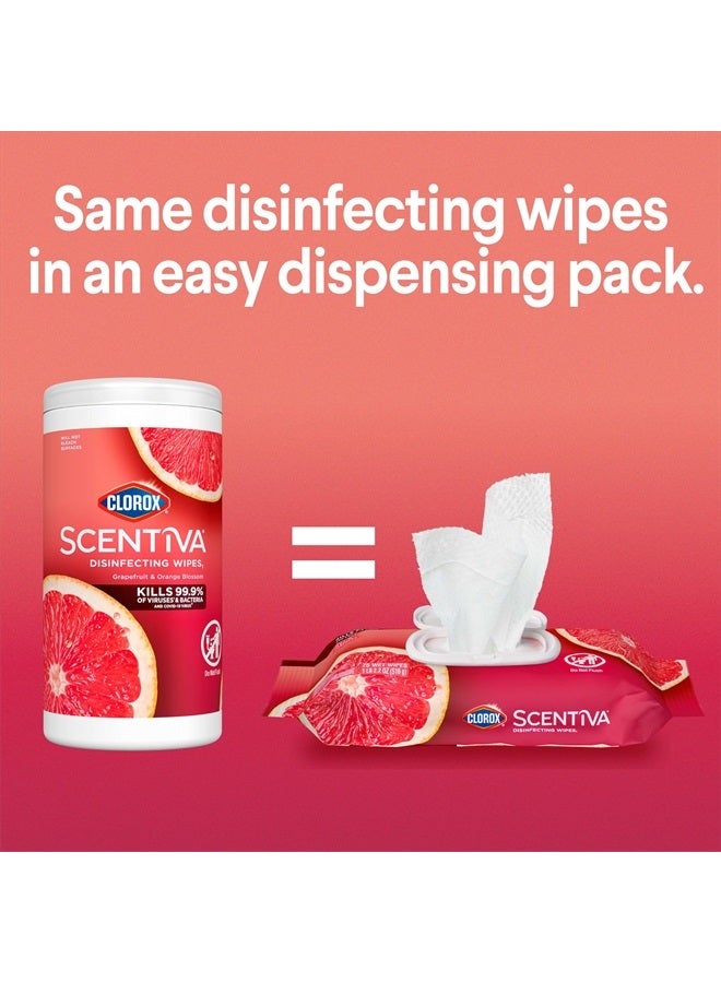 Clorox مناديل سينتيفا، مناديل تنظيف خالية من المبيض، مستلزمات منزلية، رائحة جريب فروت تاهيتي، 75 قطعة (عبوة من 3) - Image 3