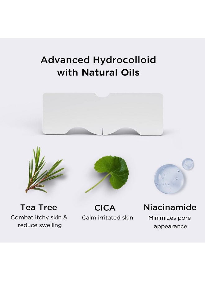 AVARELLE - Varelle Nose Patch Pore & Oil Hydrocolloid Pore Strips For Nose Pore Oil Blackhead Pimples And Zits ; Large Pore Nose Strips ; Vegan Cruelty Free Certified (16 Patches) - Image 1