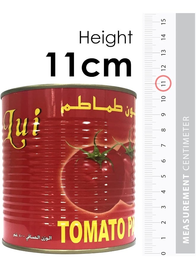 Generic Lui Thick & Rich Tomato Paste Tin 800gm  - Image 2