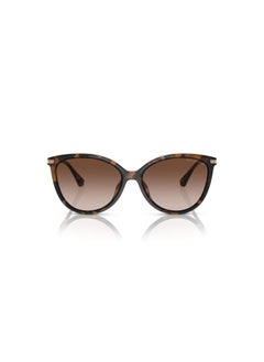 مايكل كورس مايكل كورس نظارة شمسية للنساء بلاستيك DARK TORTOISE Cat Eye موديل S;MK;2184U, 58, 3006, 13  - Image 5
