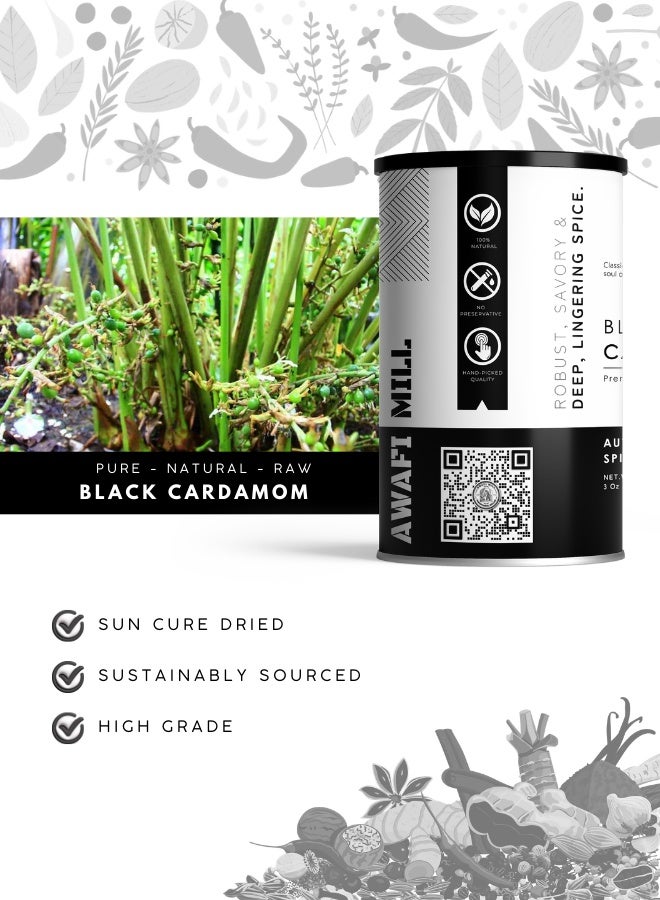 أباميك مطحنة عوافى، هيل أسود (قرون كاملة) | بادي إيليشي | أموموم سوبولاتوم | نكهة دخانية عميقة، كافور - 100 غرام | 3.5 أونصة - Image 3