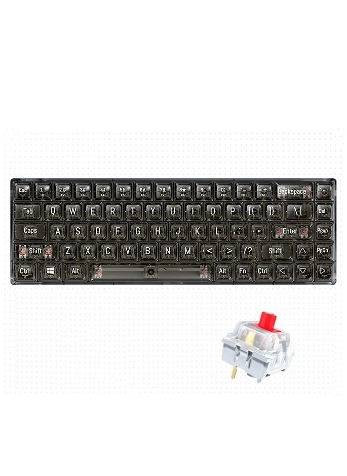 T-WOLF - Transparent Gaming Keyboard,68 Keys USB Wired Mechanical Keyboard with Transparent PBT Keycaps and RGB Side Light for Office Gaming,Suitable for PC/Ps4/Xbox Gamers,Red Switch - Image 1