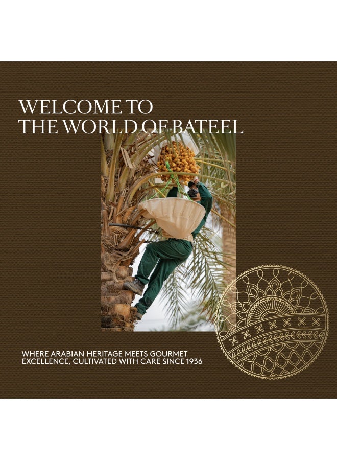 Bateel Dubai Chocolate Dates 1 Box (250g) - Image 3