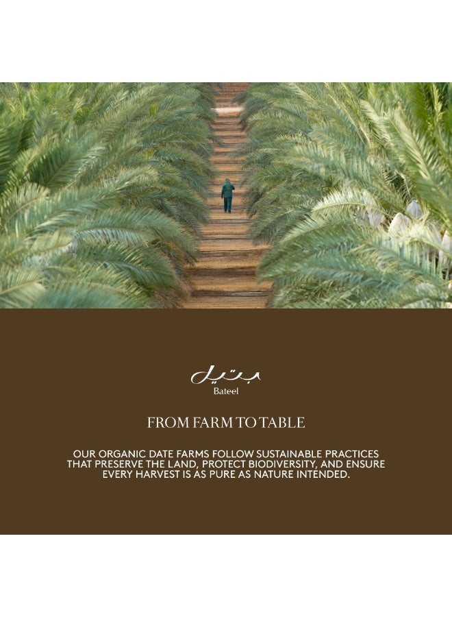 Bateel Dubai Chocolate Dates 1 Box (250g) - Image 4