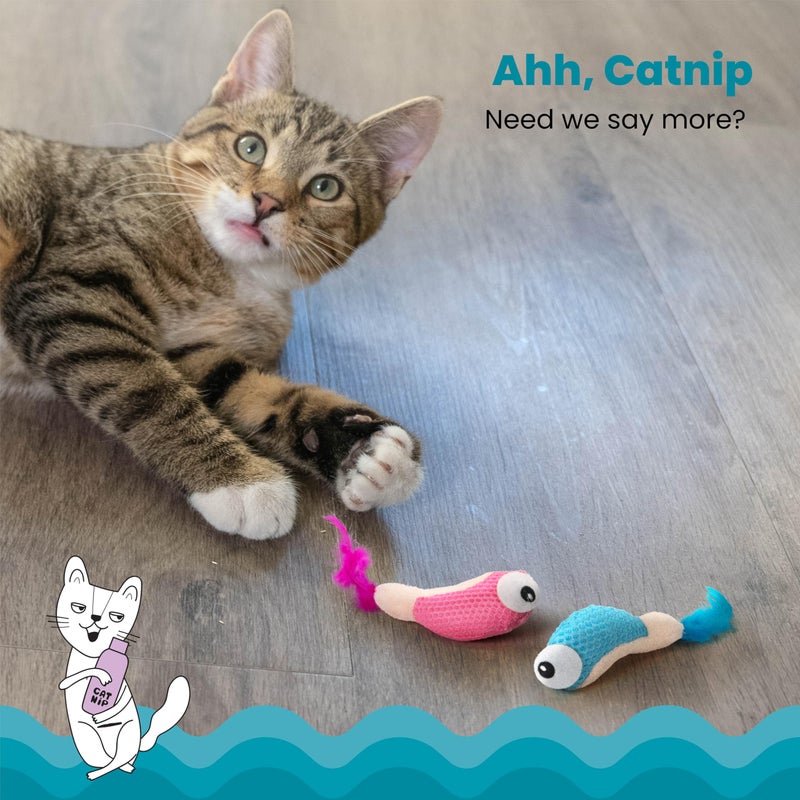 Catstages Petstages Dental Shrimpies Catnip Cat Chew Toy - 2 Pack - Image 3