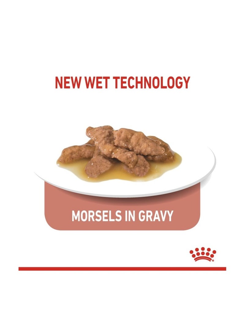Royal Canin Indoor Sterilised In Gravy Cat Wet Food 85G - Pack of 12 - Image 5