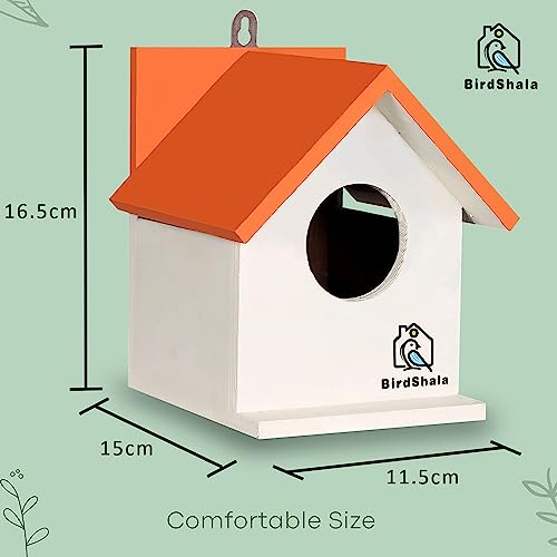 BirdShala Bird House for Sparrow, Budgies and Finches with Air Ventilation and Mounting Hook - Image 4