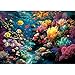 lamplig Puzzles for Adults 1000 Pieces Ocean Sea Animal Fish Coral Nature 1000 Piece Puzzle for Adults Seniors Hard Jigsaw Puzzles for Adult with Letters on Back Fun 11 Poster - Image 2