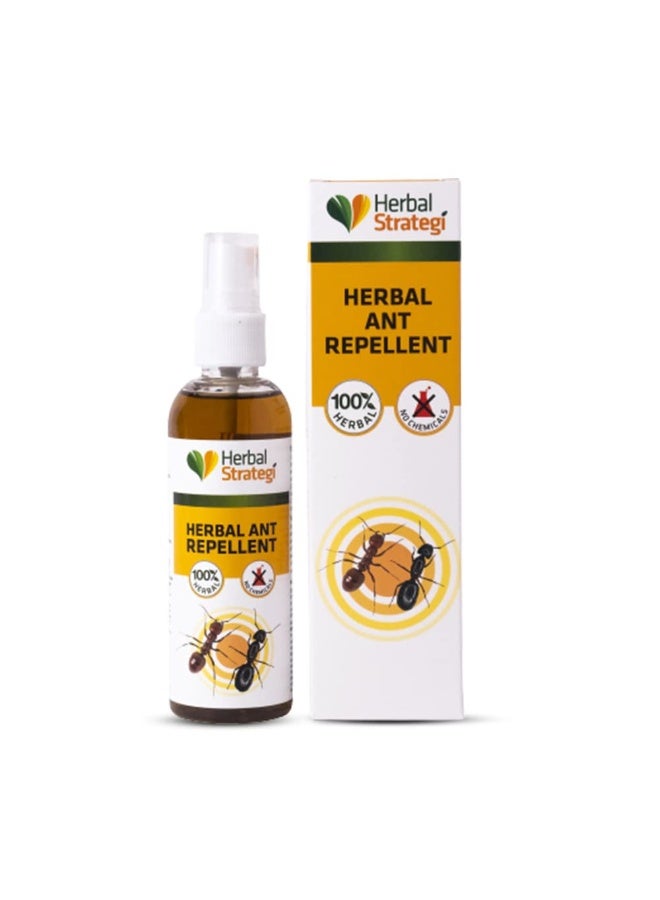Herbal Strategi STRATEGI Herbal Ant Repellent Spray - 100ml - Image 2