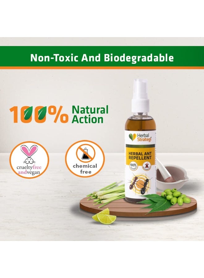 Herbal Strategi STRATEGI Herbal Ant Repellent Spray - 100ml - Image 5