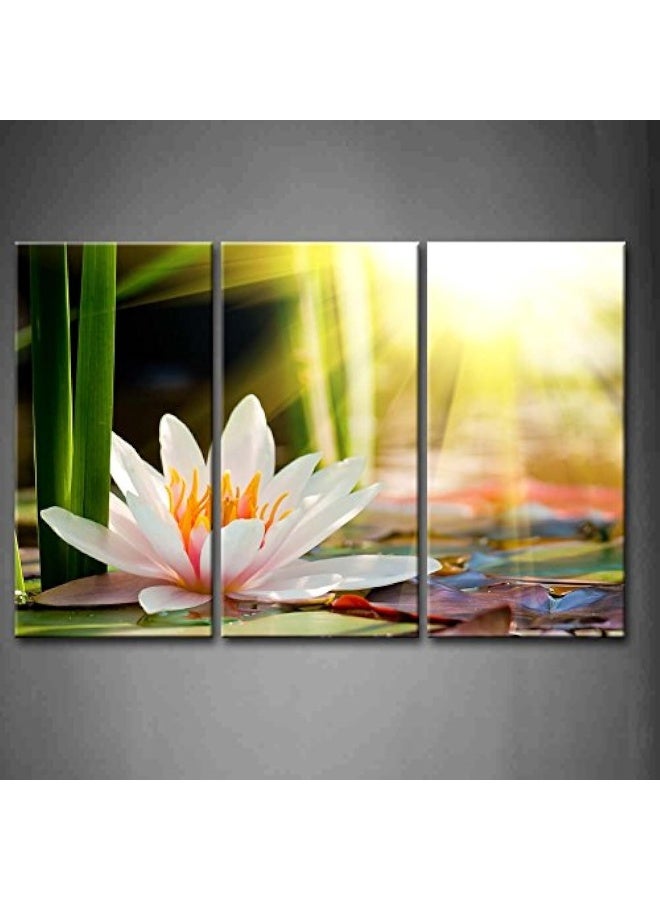Home Trove 3 Panel Wall Art Beautiful Water Lily Sunshine Painting The Picture Print On Canvas Flower Pictures For Home Decor Decoration Gift Piece (Stretched By Wooden Frame, Ready To Hang) - Image 1
