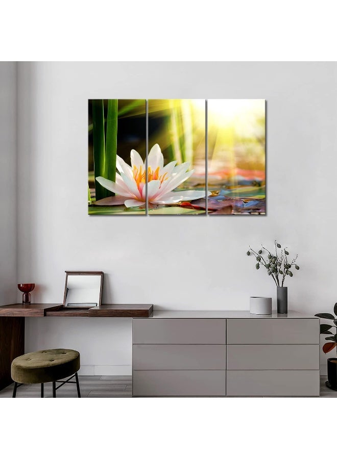 Home Trove 3 Panel Wall Art Beautiful Water Lily Sunshine Painting The Picture Print On Canvas Flower Pictures For Home Decor Decoration Gift Piece (Stretched By Wooden Frame, Ready To Hang) - Image 3