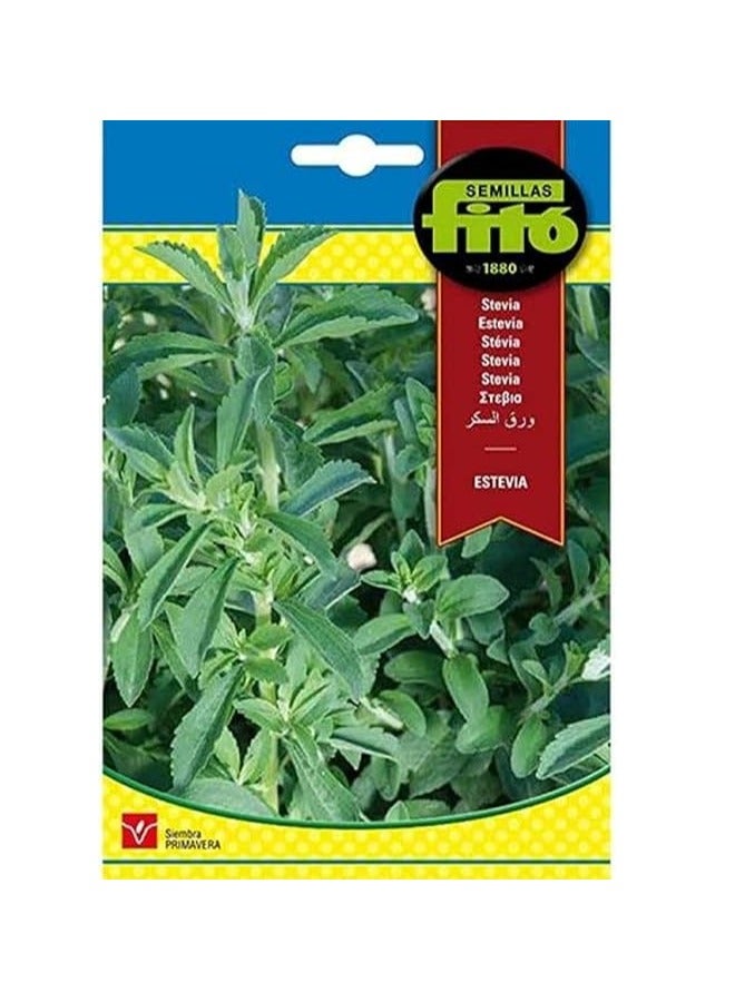 فيتو بذور ستيفيا ستيفيا عالية الجودة من Semillas Fitó - Image 2