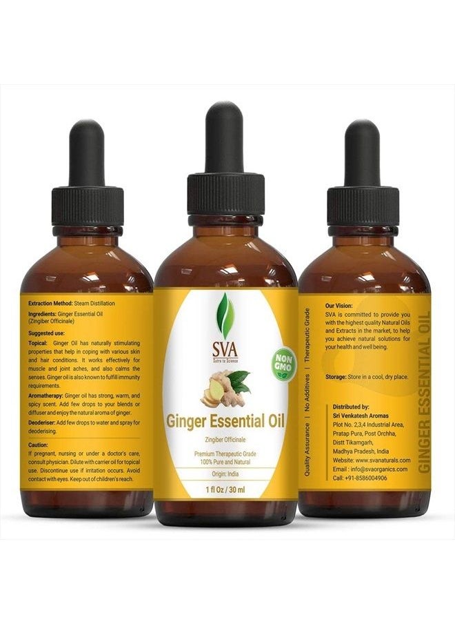 SVA Organics - SVA Organics Ginger Essential Oil 30 ml (1 Oz) in Glass Bottle with Dropper - 100% Pure and Natural Therapeutic Grade Essential Oil for Aromatherapy, Skin Therapy, Hair & More - Image 1