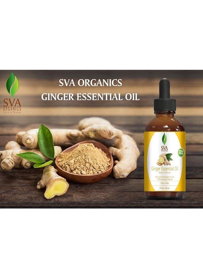 SVA Organics - SVA Organics Ginger Essential Oil 30 ml (1 Oz) in Glass Bottle with Dropper - 100% Pure and Natural Therapeutic Grade Essential Oil for Aromatherapy, Skin Therapy, Hair & More - Image 1