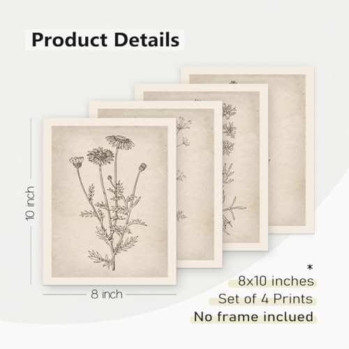 PLKMN Vintage Floral Wall Art Prints Set of 4, Neutral Boho Wildflower Pictures, Minimalist Floral Decor for Bathroom, Kitchen, Farmhouse, 8x10 Inch, Unframed - Image 5