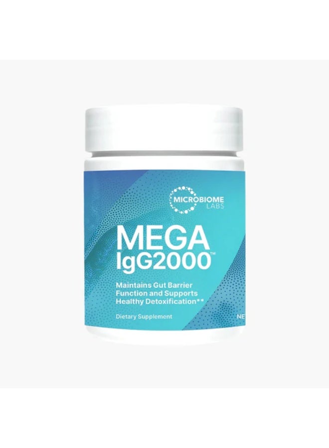 MegalgG2000