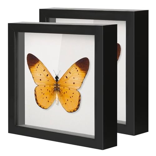 QDSSDECO 10"x10" Shadow Boxes Display Cases with Soft Linen Back Deep Wood Glass 3D Shadow Box Set for Wall and Tabletop Baby Sports, 2 Pack Black - Image 1