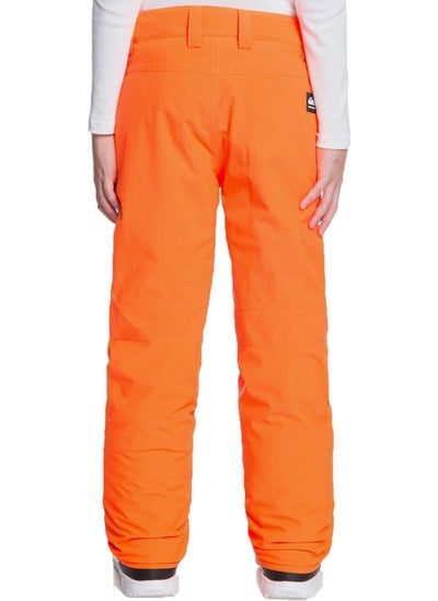 QUIKSILVER Arcade Water Kids Waterproof Snowboard Pants EQBTP03034  - Image 2