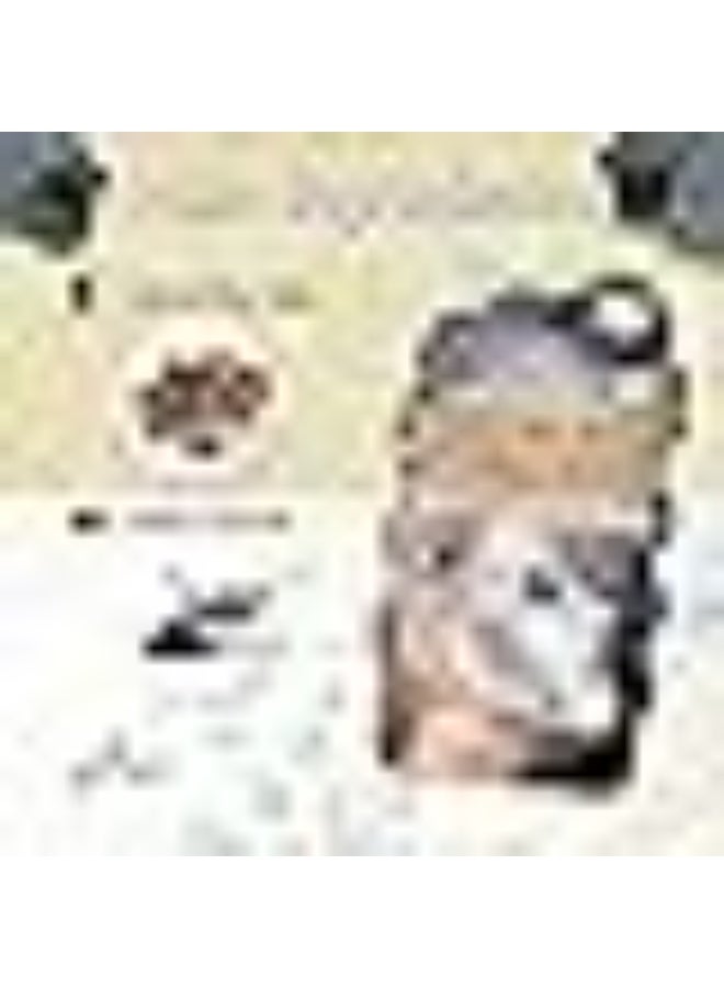 سفنث هيفن قناع الوجه الفقاعي لإزالة السموم من الفحم من 7th Heaven x1 - Image 2