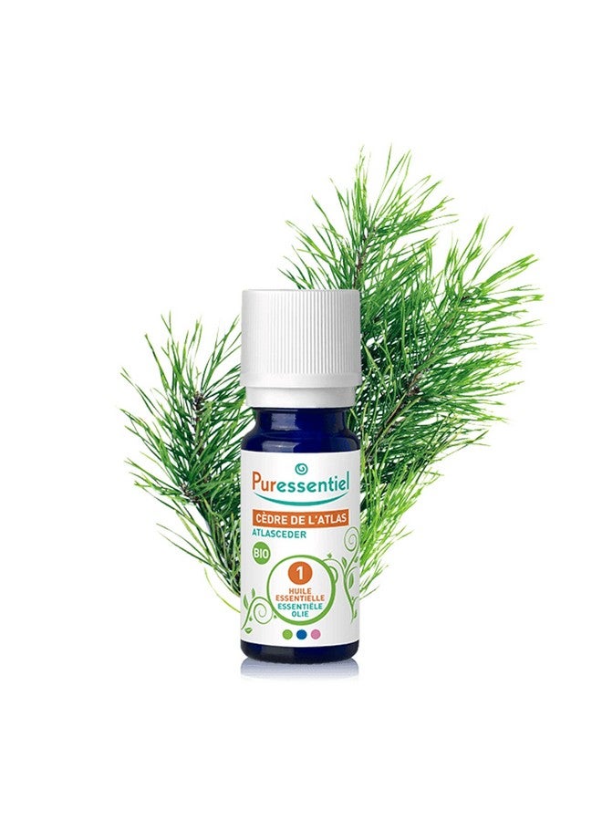 Puressentiel Organic Essential Oil Naturally Derived Aromatherapy Products Beneficial Essential Oils Made From Mother Earth Ecofriendly And Pure Ingredients Atlas Cedar 0.17 Oz - Image 2