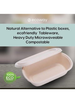 ecoway 100% Compostable Clamshell ToGo Boxes for Food Disposable Take Out Containers, Made of Biodegradable Sugar Cane, Eco-Friendly Bagasse, Heavy-Duty ToGo Containers, Pack of 10 - pzsku/Z0AF6BF386DEF9C04B81CZ/45/_/1740644680/42f05ac3-f3cf-4087-af56-2773e76a1638