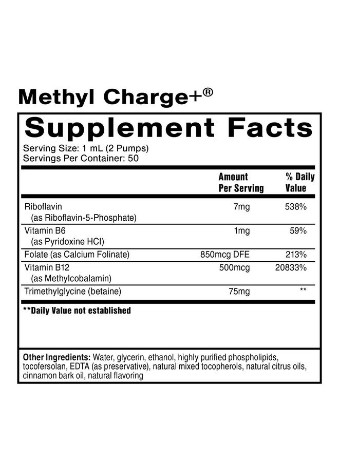 Quicksilver Scientific Methyl Charge - Methylation, Liver, Detox + Energy Supplement - Folate, Vitamin B12, Riboflavin, Vitamin B6 + TMG Supplement with Superior Absorption - Vegan B Vitamins (50ml) - pzsku/Z0AF70E4558C115C2C587Z/45/_/1739864236/e2821ea6-7ce3-42a6-965f-a3db075d9576