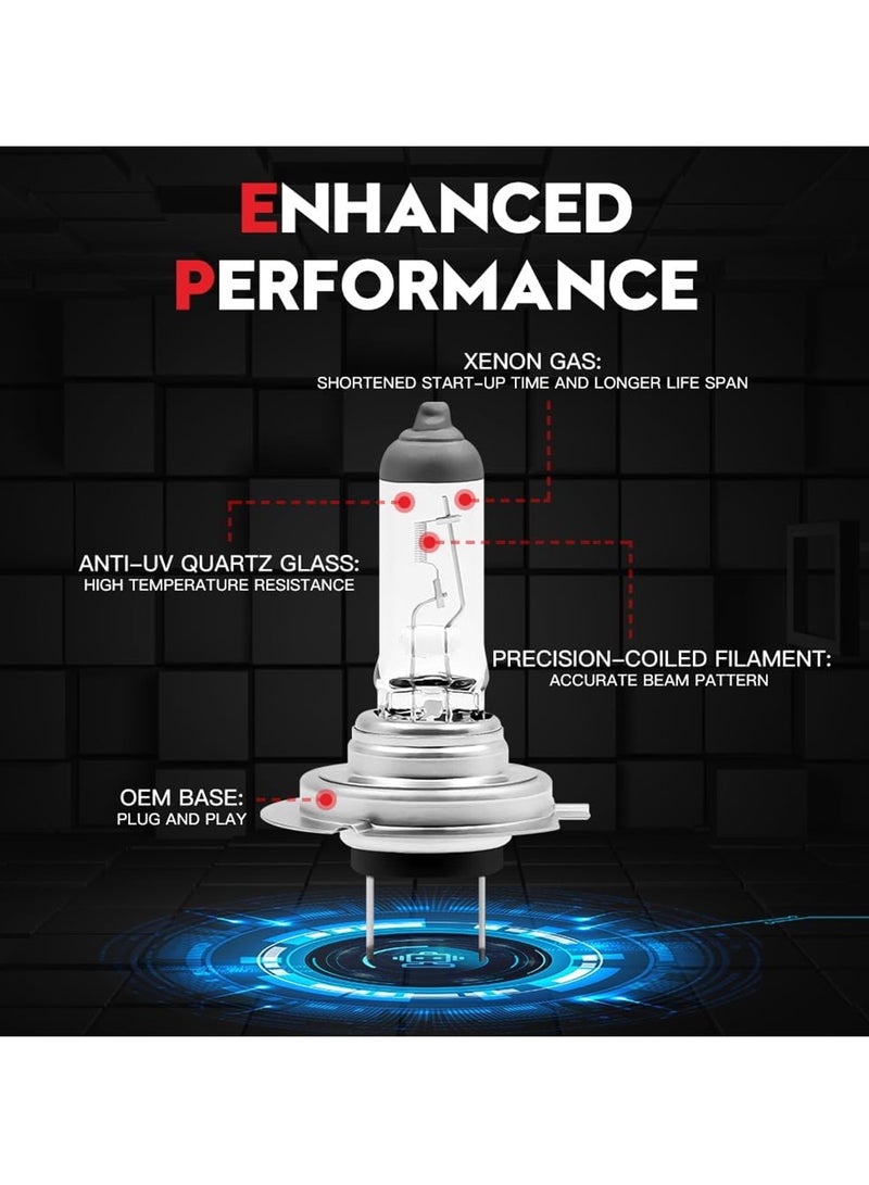 Loquat H7 Halogen Headlight Bulb for Enhanced Performance and Durability - Anti-UV Quartz Glass, 24V/70W - Image 2