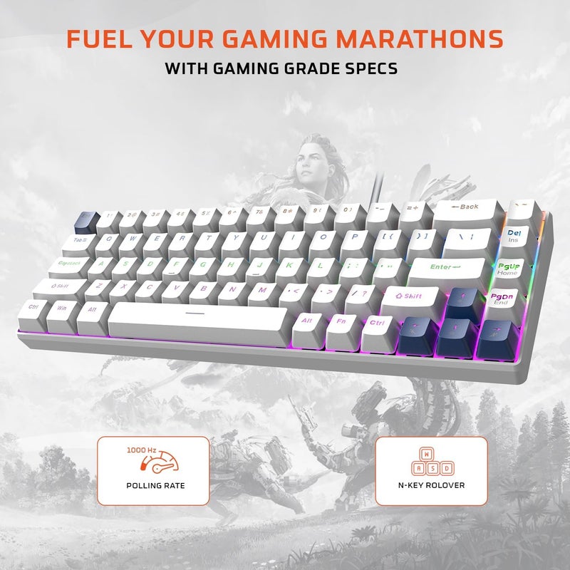 EvoFox Katana S Mini Wired Mechanical Keyboard | Hot Swappable Silent Red Switches | Compact 68-Key Layout | Vivid Rainbow Backlight | Frequency of - Image 3
