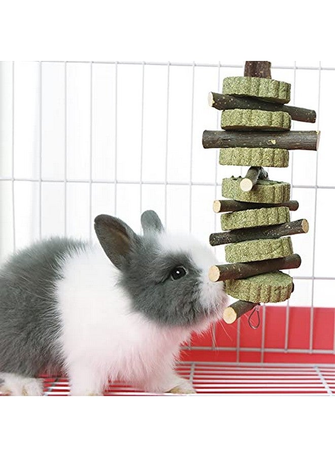 هامليدي ألعاب مضغ للأسنان على شكل أرنب، 3 قطع من أغصان الفاكهة الطبيعية، مصنوعة يدويًا من عشب تيموثي البرسيم، مناسبة لخنازير غينيا والهامستر والأرانب القزمة والشنشيلة والجربوع، لتحسين صحة الأسنان. - Image 3