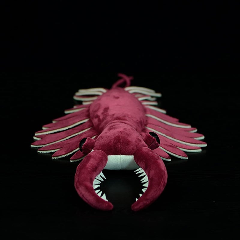 ZHONGXIN MADE Realistic Cambrian Ancient Organism Anomalocaris Plush Toy  21 Lifelike Cambrian Creature Anomalocaris Stuffed Animals Model Plushie Unique Plush Gift for Kids - Image 3