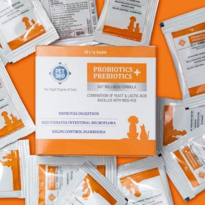 PET360 PROBIOTICS + PREBIOTICS Gut Wellness Formula for Dogs & Cats | Probiotic Supplement | Prevents Diarrhea & Indigestion | Cat & Dog Gut Health Supplement for Improved Immunity - 20 Sachets - Image 2