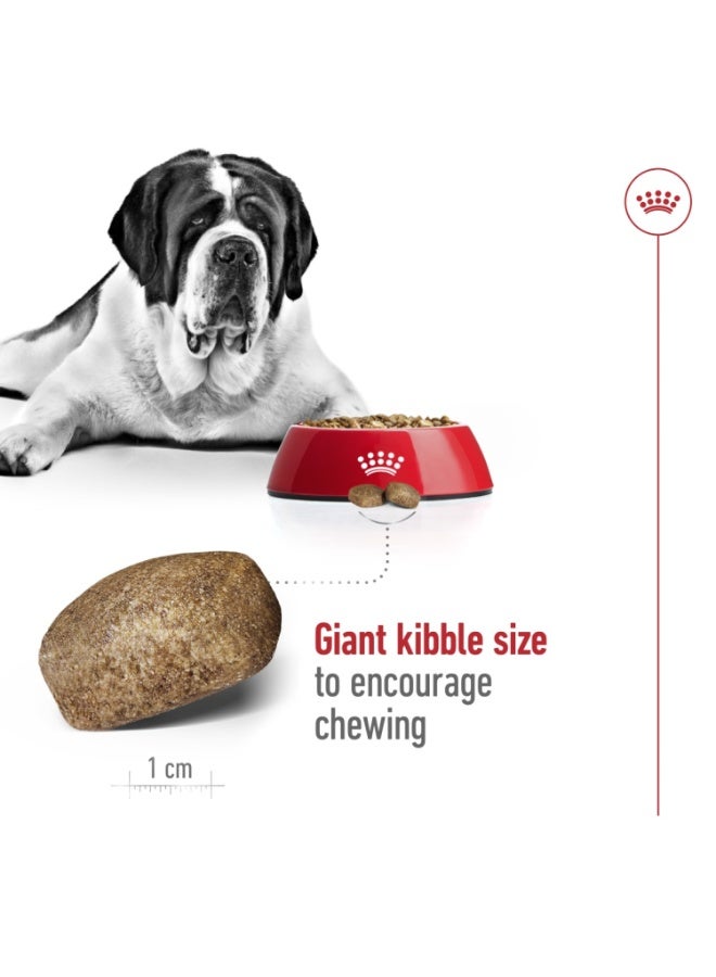 رويال كانين حجم التغذية الصحية العملاق للبالغين 15 كجم - Image 3