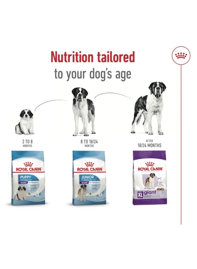 رويال كانين حجم التغذية الصحية العملاق للبالغين 15 كجم - Image 4