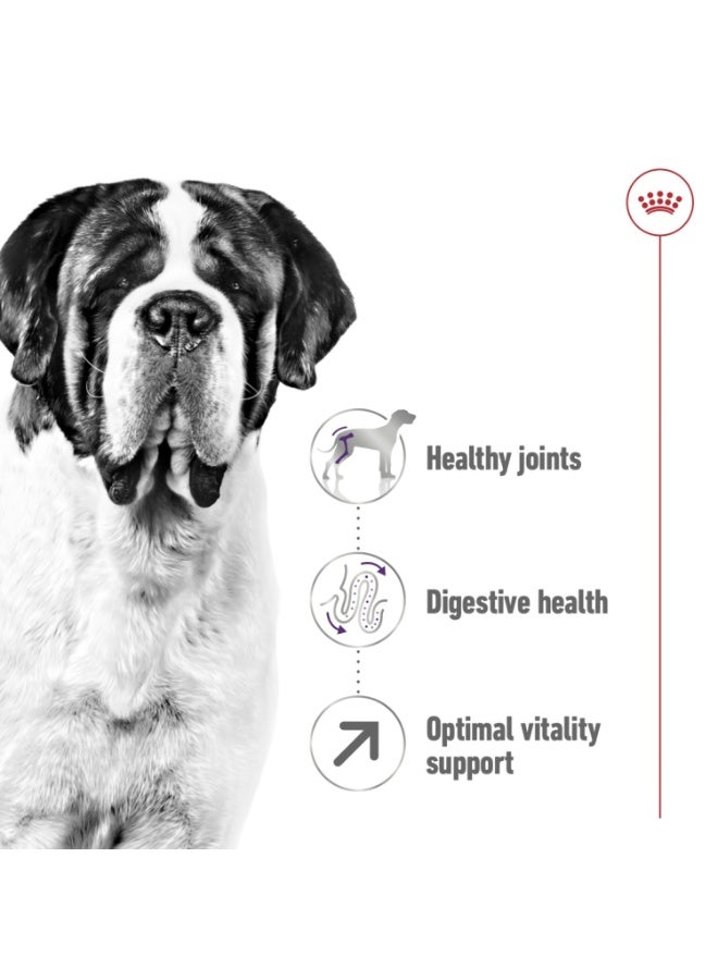 رويال كانين حجم التغذية الصحية العملاق للبالغين 15 كجم - Image 1