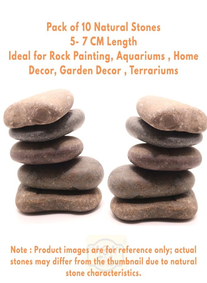 Wowtag Natural Stones Large(Pack of 10) 5-7 CM, Aquarium Rocks, Rock Painting, Craft Work, Home Decor, Non Polished, Decor Stones - Image 5