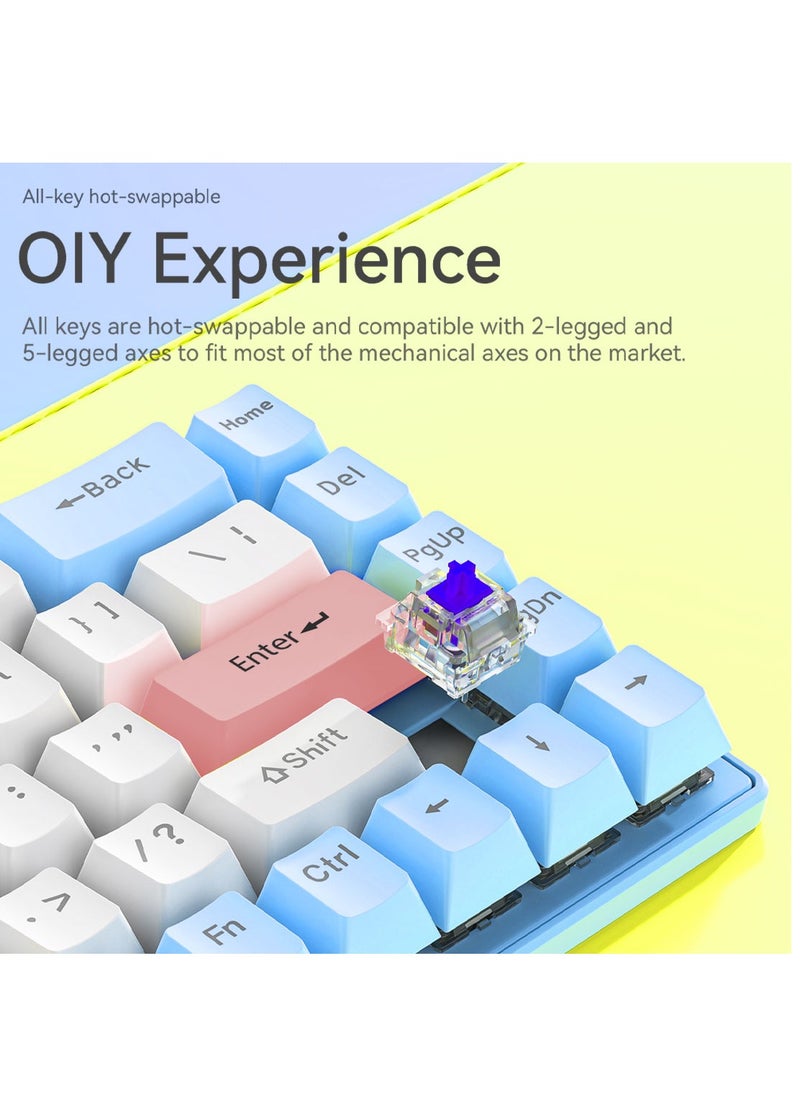 65% Wired RGB Gaming Keyboard, 68 Keys Blue Switch Hot-Swappable Compact Mechanical Keyboard for PC/Computer-Blue/Pink