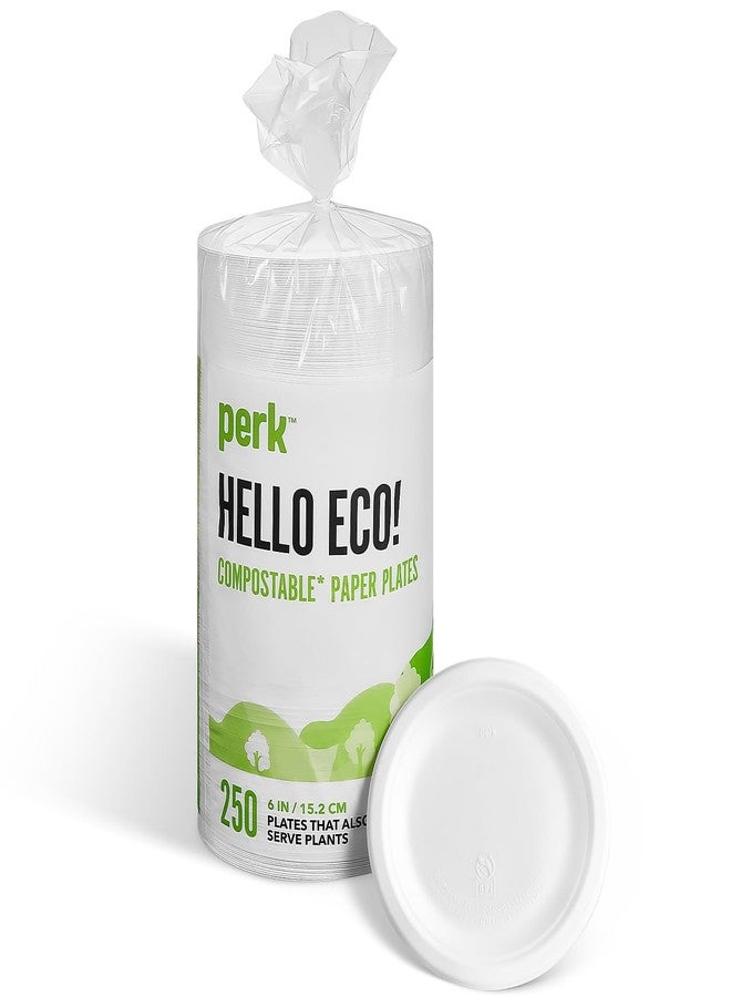 Perk Staples Compostable Paper Plates, 6-inch, White, 250/Pack (PK61286) - Image 1
