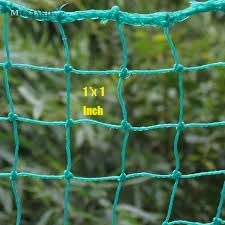Kabi Aggro Garden Net for Creeper Plant Climbing Support Used in Terrace, Shade, Roof for Tomato Vegetable Flowers and Other Plants Growth Supporting (Net, 10 * 12 Feet) - Image 4
