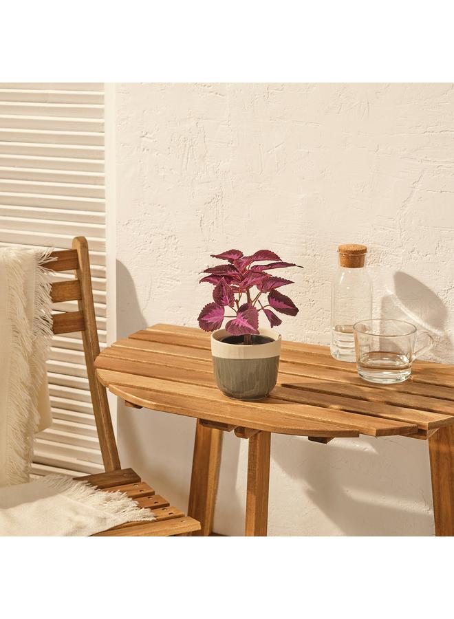 erorex Artificial Potted Plant, In/Outdoor Painted Nettle/Red, 9 Cm - Image 3