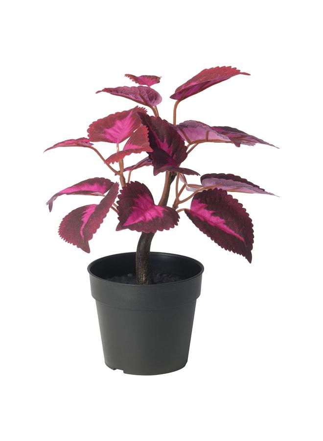 erorex Artificial Potted Plant, In/Outdoor Painted Nettle/Red, 9 Cm - Image 1