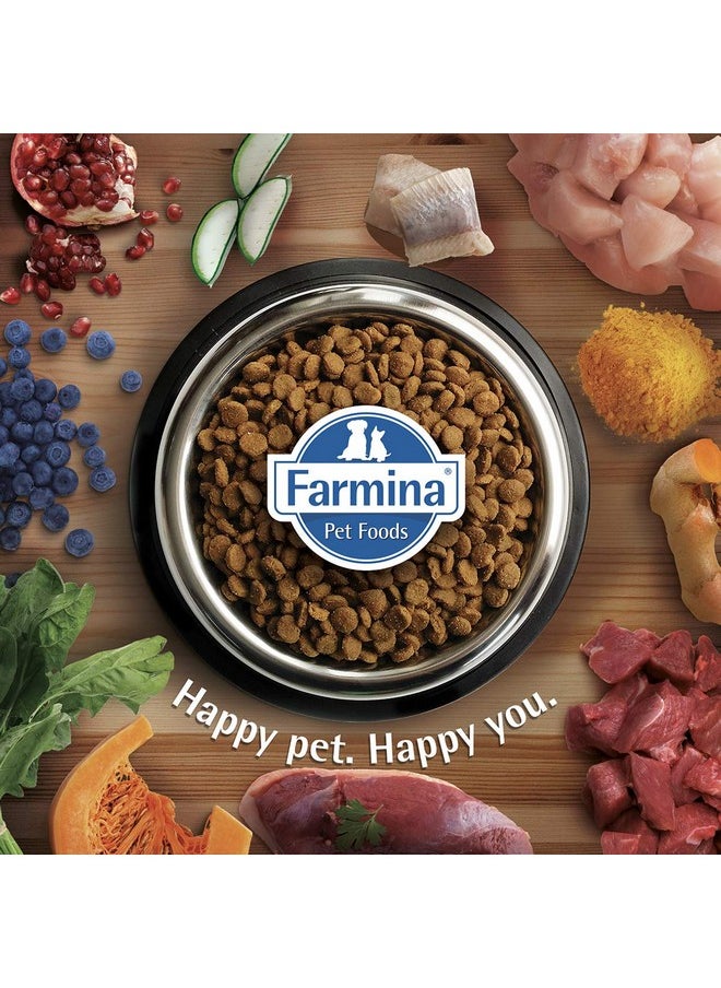 Farmina - Lamb & Blueberry Adult Mini - Image 1