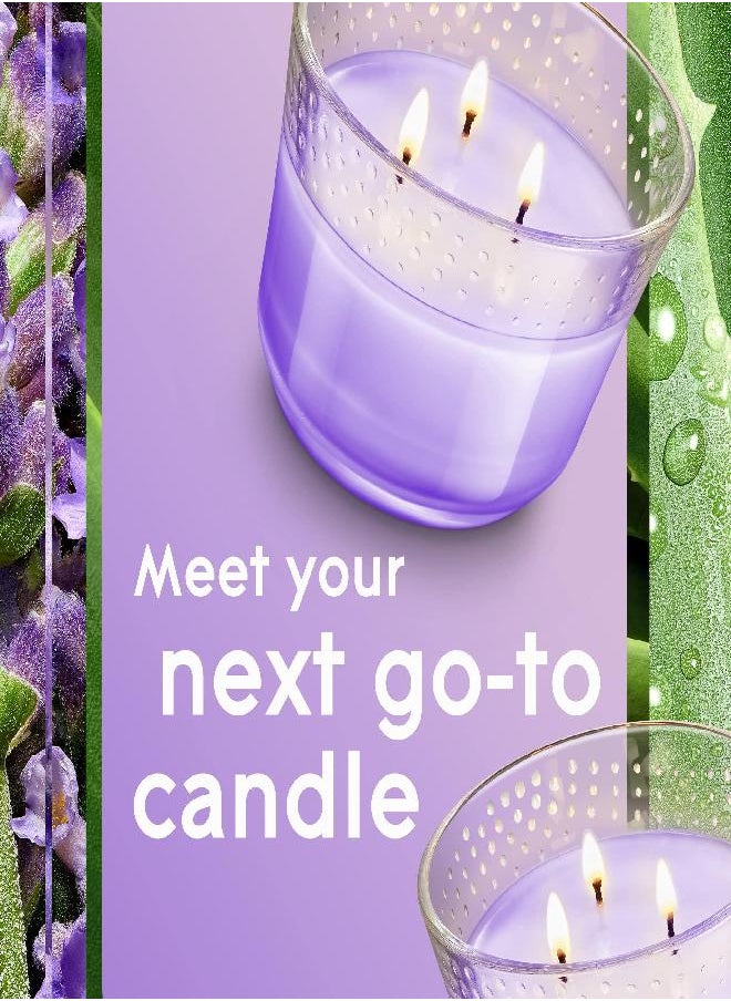 Glade Glade Candle Tranquil Lavender & Aloe, Fragrance Candle Infused with Essential Oils, Air Freshener Candle, 3-Wick Candle, 6.8 Oz, 3 Count  - Image 3