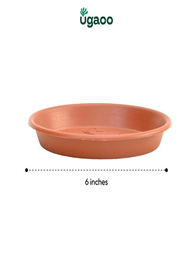 Ugaoo UV Treated Gardening Plastic Tray (Plate/Saucer) for Pots - 6 inch, Brown/Terracotta Color, Set of 12 | Tray for Plants Pot for Indoor Home Decor & Outdoor Garden & Balcony - Image 5