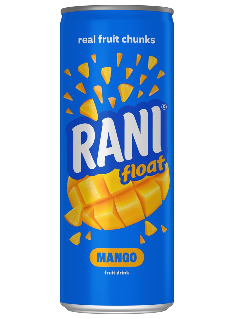 راني عصير مانجو عائم 235 مل (عبوة من قطعتين) - Image 2