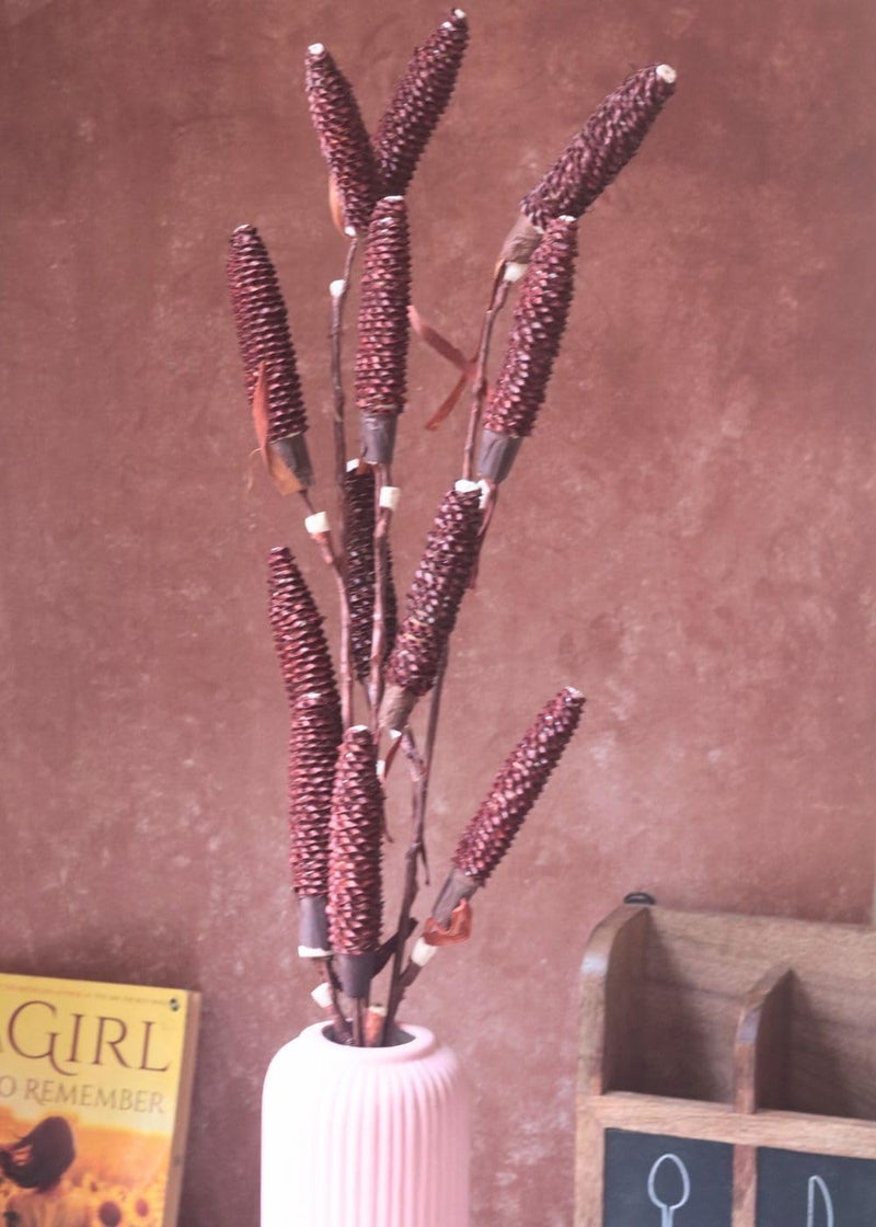 Weaving Homes Dried Brown Pine Chain Bunch Flower Bunches Dried Bunches Decor Bunches Dried Bouquet Flower Bouquet - Image 3