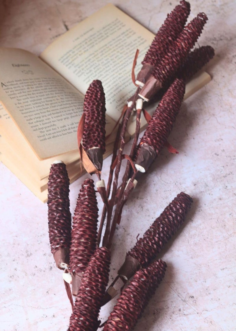 Weaving Homes Dried Brown Pine Chain Bunch Flower Bunches Dried Bunches Decor Bunches Dried Bouquet Flower Bouquet - Image 4