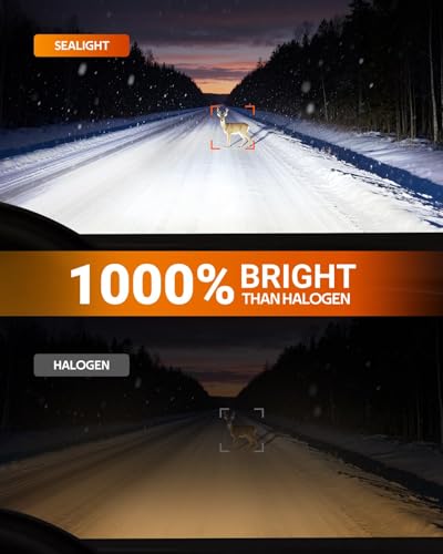 SEALIGHT Fit For Honda CRV 2015 2016 2017 2018 2019 2020 2021 Light Bulbs 9005HB3  H11H9H8  H11 Fog Lights 6500K Cool White Combo Kit PlugNPlay 92000LM 800 Brighter 40F Instant Start Pack of 6 - Image 4